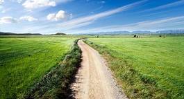 Obraz na płótnie polna droga wzdłuż pastwisk