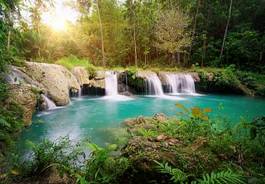 Plakat raj dżungla drzewa filipiny