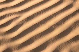 Obraz na płótnie natura rejs wydma soból lubiący