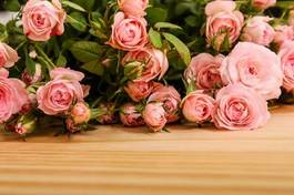 Fototapeta kwiat rosa piękny miłość