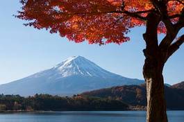 Naklejka japonia krajobraz jesień jezioro