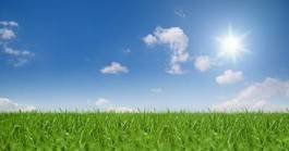 Fototapeta niebo słońce rolnictwo krajobraz