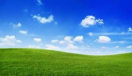 Naklejka natura niebo trawa łąka rolnictwo