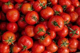 Fotoroleta pomidor warzywo zdrowy