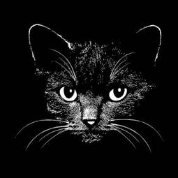 Naklejka ilustracja głowy kota w czerni