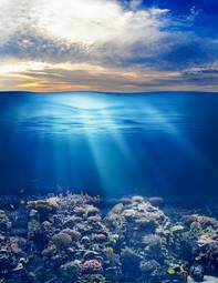 Naklejka woda piękny wzór podwodne słońce
