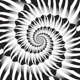 Fotoroleta wzór spirala nowoczesny