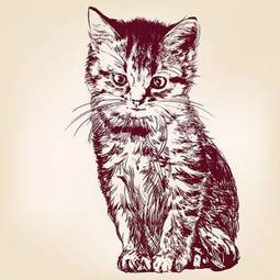 Obraz na płótnie rysunek kota