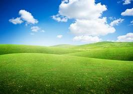 Plakat pastwisko niebo piękny lato trawa