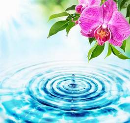 Naklejka natura energiczny woda zdrowie wellnes