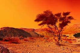 Obraz na płótnie dziki góra drzewa pustynia