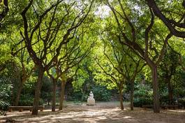 Fotoroleta spokojny drzewa park barcelona