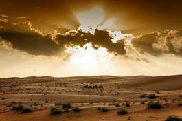 Plakat arabian wydma spokojny roślina pustynia