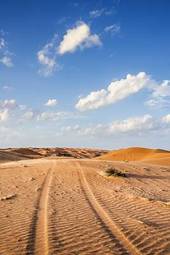 Fototapeta pustynia arabian natura