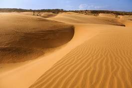 Obraz na płótnie krajobraz azja pustynia