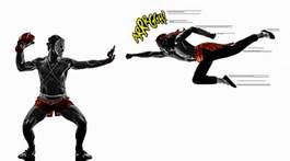 Obraz na płótnie sztuki walki mężczyzna komiks sport