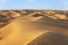 Plakat arabian pustynia roślina arabski wschód