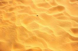 Fototapeta pustynia dziki niebo wydma