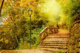Naklejka kamienne schody w jesiennym parku