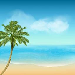 Fotoroleta lato niebo tropikalny palma morze