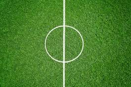 Obraz na płótnie boisko trawa sport piłka nożna pole