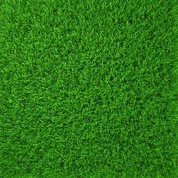 Obraz na płótnie łąka trawa wzór świeży natura