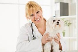 Naklejka zwierzę medycyna kobieta portret pies