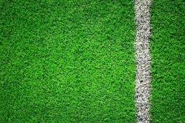 Fototapeta trawa piłka nożna stadion ładny świeży