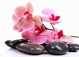 Obraz na płótnie miłość kwitnący zen