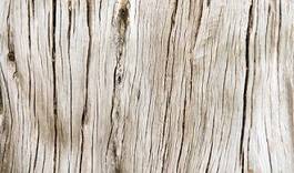 Fototapeta ziarno tekstura zbliżenie drewno