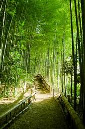 Naklejka krajobraz dżungla japonia