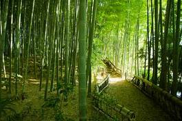 Naklejka sztuka bambus roślina słońce zen