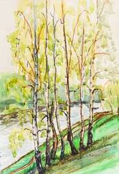 Obraz na płótnie drzewa krajobraz brzoza pejzaż