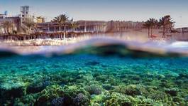 Fotoroleta widok morze podwodne egipt