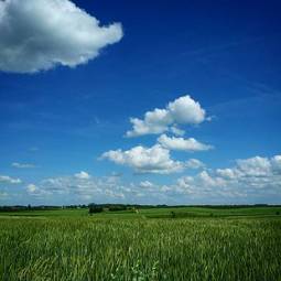Naklejka piękny niebo wiejski trawa