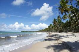 Obraz na płótnie wybrzeże natura plaża tropikalny