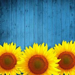 Naklejka słonecznik lato obraz słońce kwiat