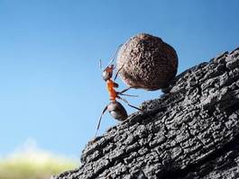 Naklejka wzgórze ciężar mrówka ciężki praca