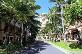 Fototapeta hawaje palma błękitne niebo krajobraz ulica