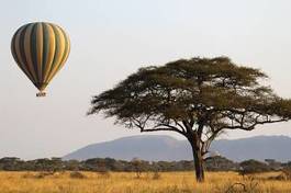 Obraz na płótnie roślina safari transport afryka
