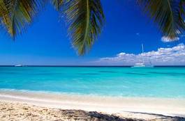 Fototapeta raj karaiby natura egzotyczny słońce
