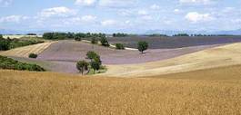 Fototapeta panorama europa pejzaż trawa wzgórze