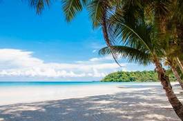 Fotoroleta pejzaż wybrzeże tropikalny piękny