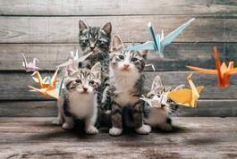 Plakat kociaki wśród łabędzi origami
