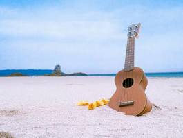Plakat lato morze dźwięk instrument strunowy występ