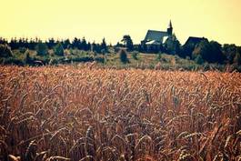 Naklejka trawa europa wieś