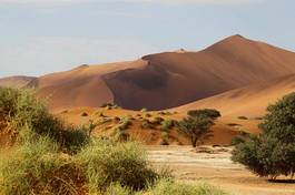Plakat krajobraz wydma afryka