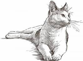 Plakat rysunek leżącego kota