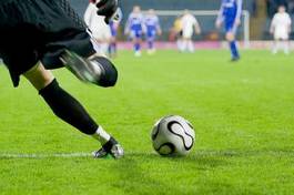 Obraz na płótnie trawa filiżanka piłka nożna piłka