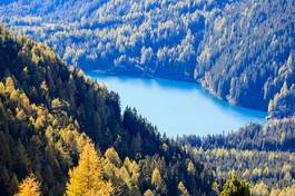 Obraz na płótnie alpy las góra natura jesień